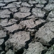 climate change 111