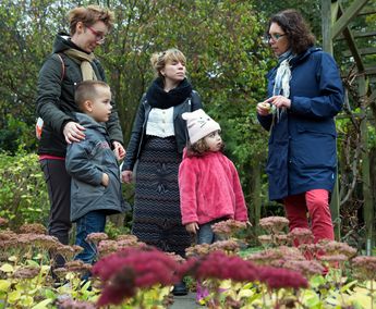 Wildplukken in de natuur Daphne van den Berg op natuurwandeling