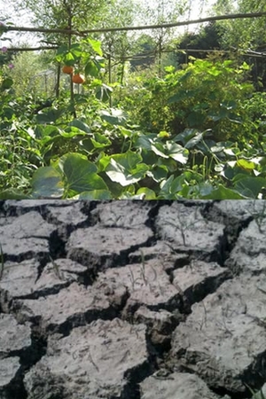 Droogte-vs-overvloed