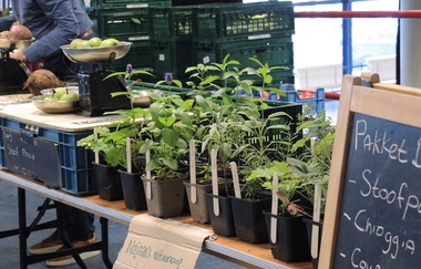 markt verwondering 280